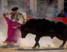 Para este 2023, Michel Lagravere tiene claros sus objetivos, entre los que destaca incursionar en los grandes carteles de plazas como la Plaza México, Nuevo Progreso de Guadalajara y en Aguascalientes en la Feria de San Marcos.CORTESÍA