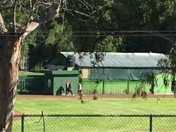 A pesar del intenso sol, el Presidente López Obrador vestía tenis, pantalón deportivo, sudadera gris y una gorra de color rojo. SUN