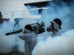 La SSJ recuerda que el combate contra el dengue se mantiene los 365 días del año. EL INFORMADOR/ARCHIVO