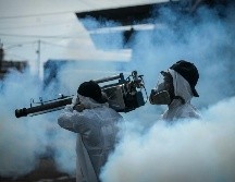 La SSJ recuerda que el combate contra el dengue se mantiene los 365 días del año. EL INFORMADOR/ARCHIVO