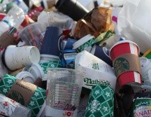 La servilleta con los anillos estaba dentro de un contenedor de basura de 20 toneladas. ESPECIAL/Foto de Jasmin Sessler en Unsplash