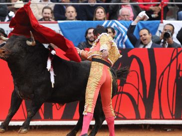 Fue el pasado mes de junio cuando un juez extendió una prohibición a las corridas de toros en la Ciudad de México por tiempo indefinido. EFE / ARCHIVO