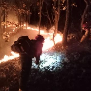 Bomberos de Zapopan controlan incendio en La Primavera