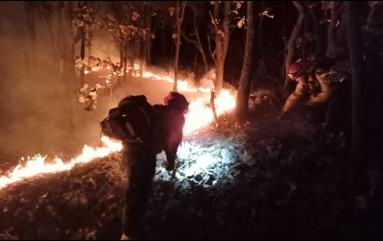Bomberos de Zapopan, recomiendan en este invierno a personas que acudan al Bosque La Primavera no prender asadores, no fumar y ser responsables en esta Área Natural Protegida. ESPECIAL /