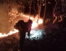 Bomberos de Zapopan controlan incendio en La Primavera