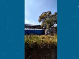 ESPECIAL/CAPTURA DE VIDEO