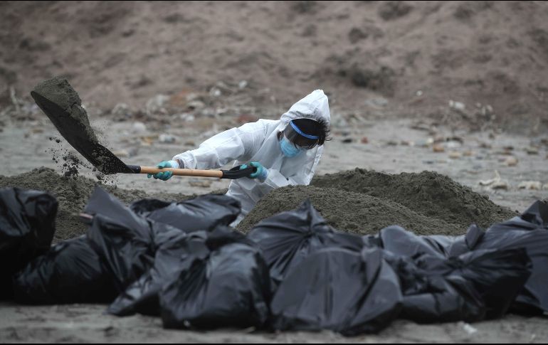 Personal del Servicio Nacional de Sanidad Agraria de Perú recoge pelícanos muertos, posiblemente infectados con gripe aviar H5N1, en la playa San Pedro al sur de Lima. EFE/P. Aguilar