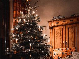 Normalmente lo primero que se compra es el arbolito, sin embargo las dudas comienzan ya que existen de diferentes precios, tamaños y colores. Unsplash