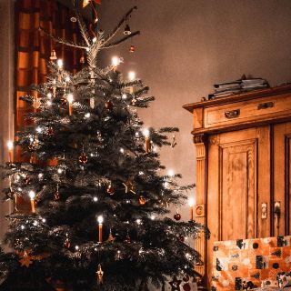 5 tips para elegir el Arbolito Navideño perfecto