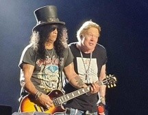 Los demandantes aseguran que la naturaleza del negocio es 