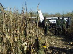 La avioneta Cessna fue asegurada por elementos del ejército y de la GN, los cuales no ha podido localizar a los pilotos. EL INFORMADOR/ ARCHIVO