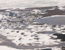 El hielo marino se encuentra en su sexto nivel más bajo del que se tenga registro. AP/ARCHIVO