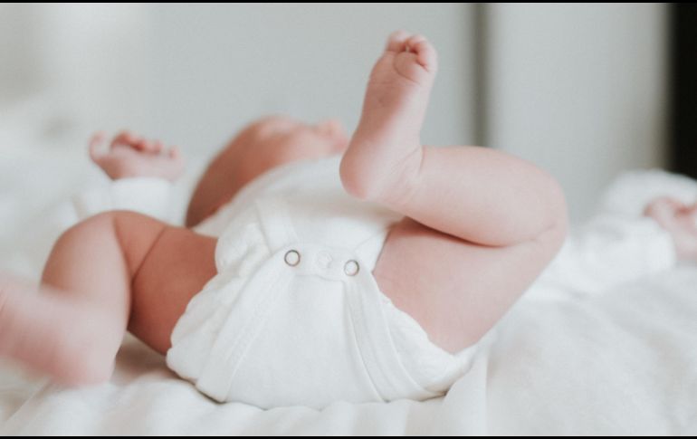 Tras extirparle la cola a los dos meses de nacida, la pequeña se desarrolló con normalidad. ESPECIAL/Foto de zelle duda en Unsplash