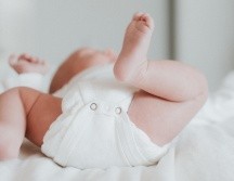 Tras extirparle la cola a los dos meses de nacida, la pequeña se desarrolló con normalidad. ESPECIAL/Foto de zelle duda en Unsplash