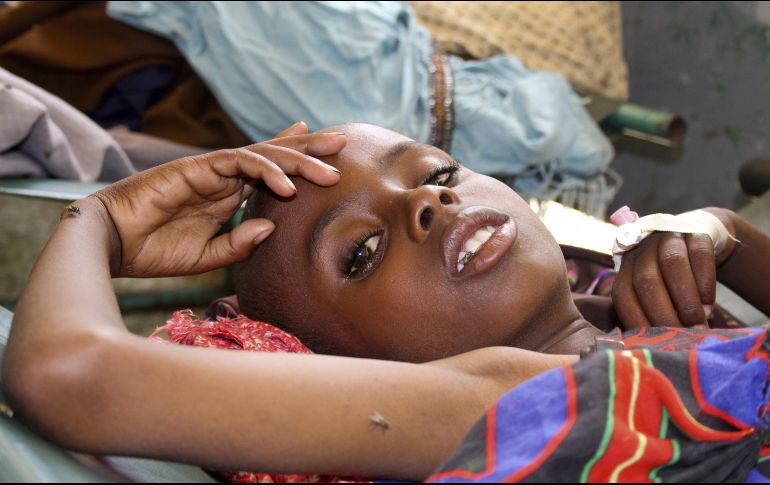 El informe también muestra que las diversas crisis internacionales de por lo menos los últimos 15 años, han comprometido el acceso de la región a los alimentos y el desarrollo de la agricultura. EFE/ ARCHIVO