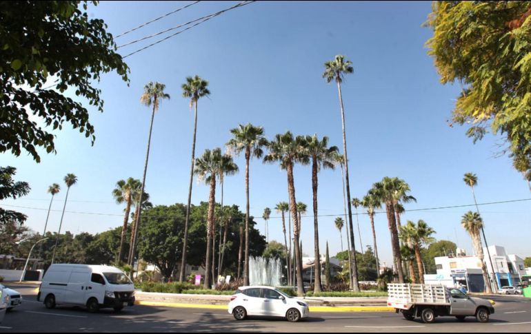 EL INFORMADOR/A. Camacho