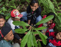 Disney reitera su compromiso con la biodiversidad del planeta, donando alrededor de 125 millones de dólares desde 1995 a diversas organizaciones por la preservación del medioambiente. CORTESÍA/DISNEY