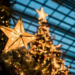 Árbol de Navidad, elemento decorativo y tradicional decembrino