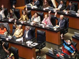 La reforma fue turnada a la Cámara de Diputados. SUN/ARCHIVO