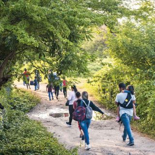 Al menos 8 mil migrantes llegarán a la frontera sur de México al finalizar el año