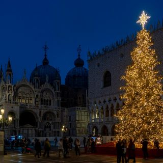 ¿El árbol de Navidad se pone este 8 de diciembre?
