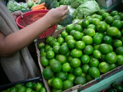 El limón con sal no es dañino. Sin embargo, los principales riesgos de consumirlo en cantidades excesivas radican en la aparición de gastritis, reflujo y úlceras estomacales. EL INFORMADOR/ARCHIVO