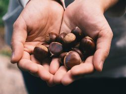 El contenido de grasa de las castañas es mucho menor al que contienen el resto de los frutos secos, lo que las convierte en una opción más saludable. ESPECIAL/Foto de Jade Seok en Unsplash