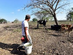 La Niña afecta porque las condiciones de sequía se vuelven extremas y se agravan todos los problemas relacionados con los recursos hídricos. EFE / ARCHIVO