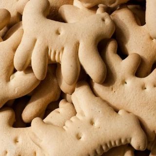 ¿Qué tan dañinas son las galletas de animalitos? Esto dice la Profeco