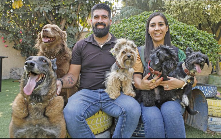 El amor por los perros llevó a Emmanuel Díaz López y a Paty Castillo a abrir su negocio. EL INFORMADOR/ C. Zepeda