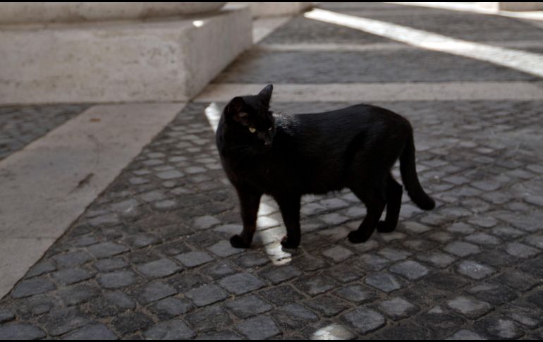 Es evidente, como con todas las supersticiones, que el número 13 no tiene una connotación negativa, por lo menos en fundamentos científicos, y se trata más de una creencia que se ha popularizado. AFP / ARCHIVO
