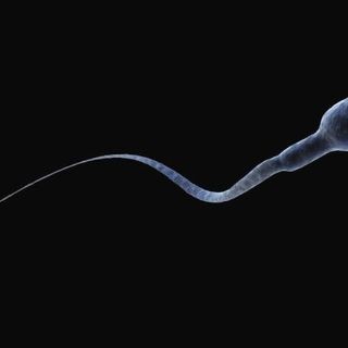 5 razones por las que hay una caída en la cantidad de espermatozoides en todo el mundo