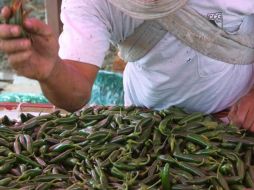 De acuerdo con la Alianza Nacional de Pequeños Comerciantes el chocolate en polvo, el chile serrano, chile jalapeño, zanahoria y limón fueron los productos con más alza. EL INFORMADOR / ARCHIVO