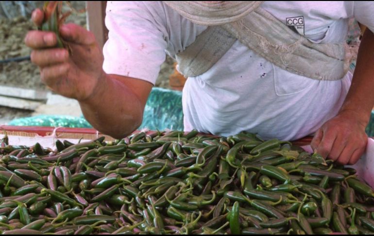 De acuerdo con la Alianza Nacional de Pequeños Comerciantes el chocolate en polvo, el chile serrano, chile jalapeño, zanahoria y limón fueron los productos con más alza. EL INFORMADOR / ARCHIVO