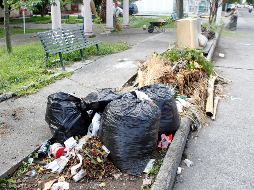 El estudio para construir una solución a mediano plazo sobre el manejo y disposición final de residuos sólidos que se generan en la ciudad estará listo hasta marzo del 2023, señaló Pablo Lemus Navarro. EL INFORMADOR / ARCHIVO