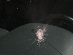 De acuerdo con Ciro Gómez Leyva, sujetos que viajaban a bordo de una motocicleta dispararon 