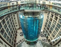 La gigantesca pecera, que contenía un millón de litros de agua, estaba ubicada en el vestíbulo del hotel Radisson Blu, en la turística zona de la catedral y de la Isla de los Museos. EFE / J. Carstensen