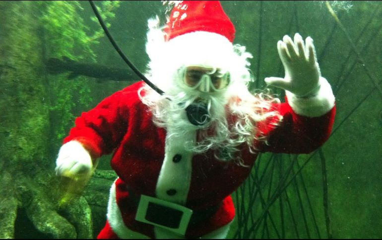 Santa Claus estará nadando en el Zoológico de Guadalajara. ESPECIAL/Zoológico de Guadalajara