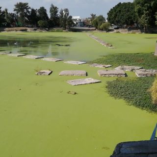 Encuentran cadáver en el vaso regulador del Dean en Guadalajara