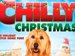 Más allá de ciertos servicios de streaming muy populares, en la red hay varias opciones para ver cine ameno y de calidad de forma legal. ESPECIAL