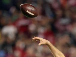 Algunos de los partidos podrán ser vistos en televisión de paga por el sistema Sky, y otros en señal abierta o restringida. AFP / C. Petersen