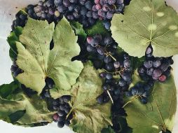 ESPECIAL / Foto de Cassie Matias en Unsplash