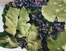 ESPECIAL / Foto de Cassie Matias en Unsplash