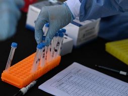 El primer ministro pidió que a partir del viernes las autoridades soliciten en los aeropuertos una prueba PCR al aterrizar. AFP/ Archivo