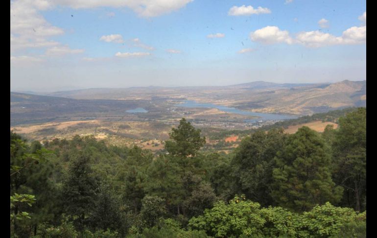 La ruta 5 contempla seis puentes colgantes completamente diferentes transportación y equipo. EL INFORMADOR / A. Camacho