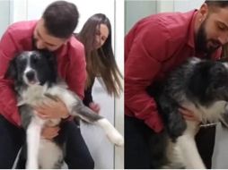 Internautas se sintieron identificados con los hermanos, quienes hicieron de todo para distraer a su mascota. ESPECIAL/CAPTURA DE VIDEO