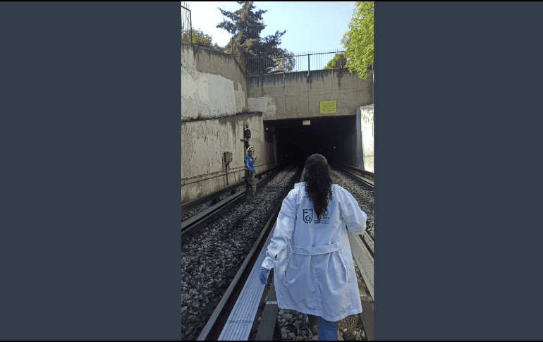 Omar García Harfuch, dice que de acuerdo con las primeras investigaciones fue 