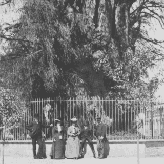 Efemérides: ¿Qué se conmemora hoy, 10 de enero?