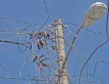 De acuerdo con la CFE, no cuentan con registros de personas detenidas o consignadas por haber colocado los diablitos. EL INFORMADOR/ARCHIVO