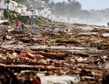 Los habitantes de Aptos, cerca de Santa Cruz, apenas contemplan la magnitud de los daños. AFP